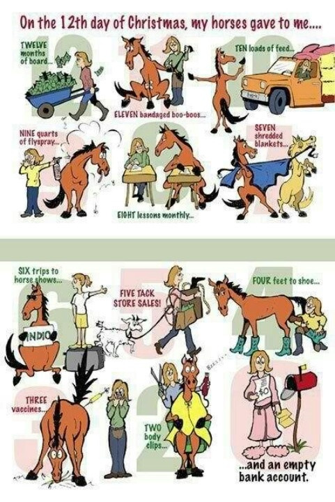 Hahaha horsey Christmas!!! Found on Pinterest