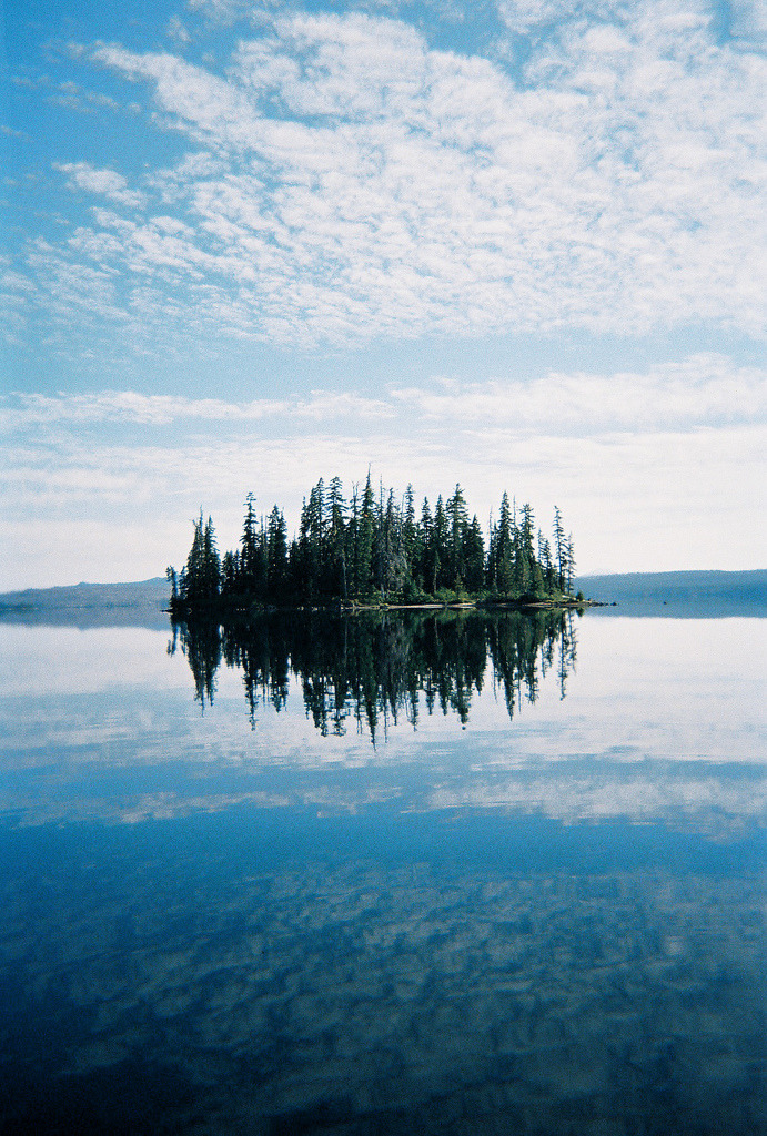 nesola:  (by molly_bryant) 