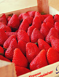 lifewithloz:  When summer is over and strawberries cost ů a punnett :( 