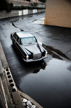 wellisnthatnice:  1966 250SE on Flickr.