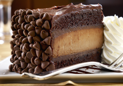 ijusttrolledyouwithbazinga:  CAAAAAAAAAAAAKE