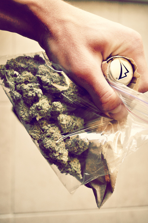 Into A Stoner's Mind!