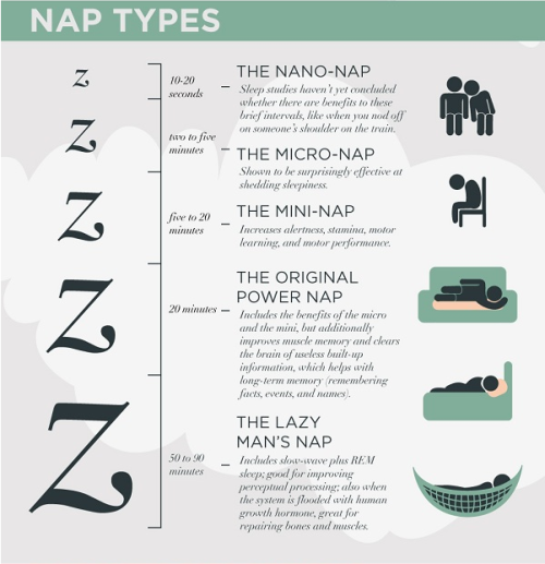 studying-hard:  Good side-note for those of us who are sleep-deprived and actually have the time to take a nap. 