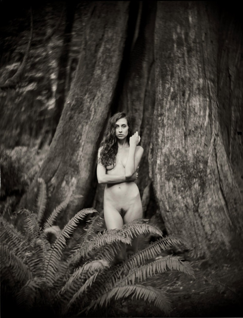 angelaavocado:  daveaharonian:  Angela Avocado  here’s another one of me by Dave. I was so tired when we shot this, and my hair was doing incredible things because I’d just taken a dip in the ocean.