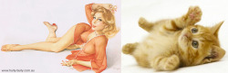 Cats That Look Like Pin Up Girls