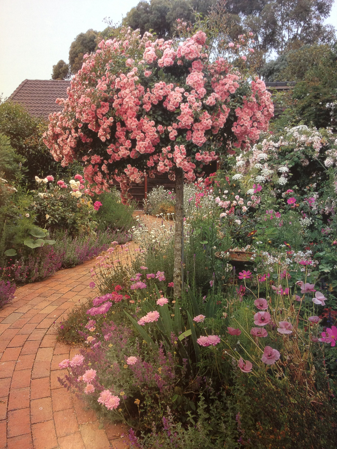 andantegrazioso: Songe d’un jardin de roses