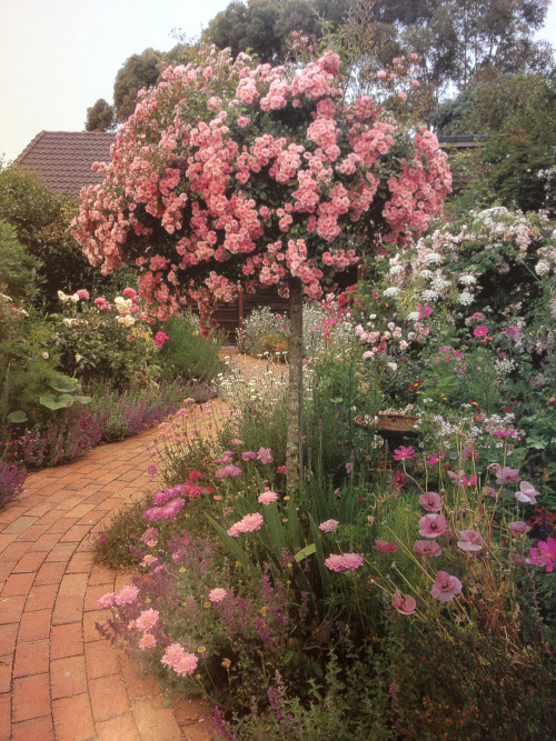 andantegrazioso:Songe d’un jardin de roses