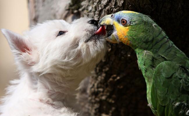 animalados:  Vale vale, ¡retiro lo de tu madre!  @AdorableBipolar