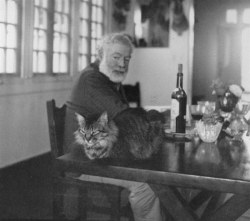 inneroptics:  Ernest Hemingway with his cat“A cat has absolute emotional honesty: human beings, for one reason or another, may hide their feelings, but a cat does not.”