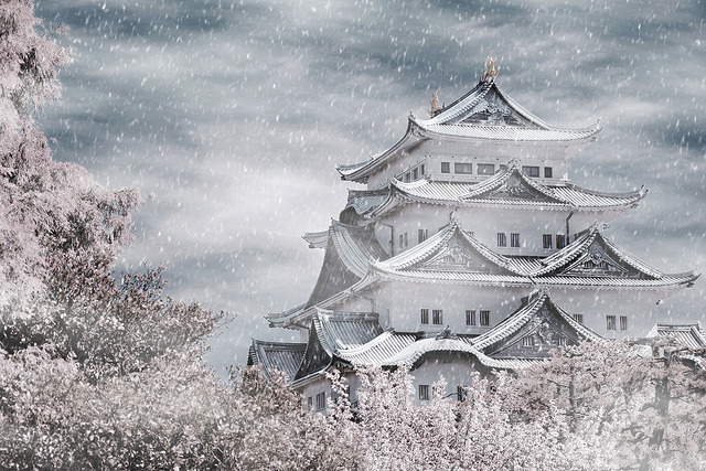 japan-mania:  雪隱 - 名古屋城 DSC_01762 by Ming - chun ( very busy ) on Flickr.