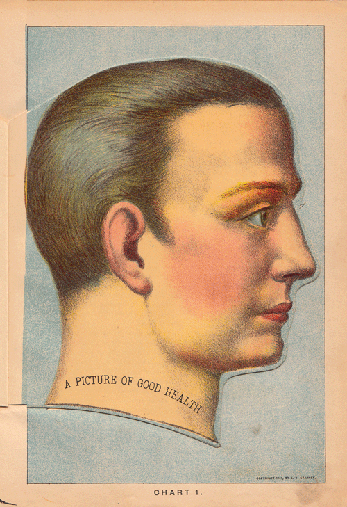 Anatomical Flap-Up Illustrations from 1901 Adapted as Animated GIFs – The  Marginalian