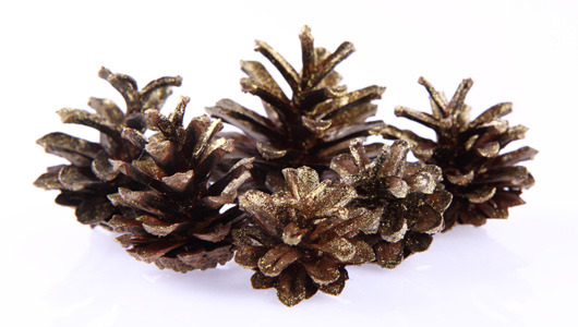 3 ways to turn pine cones into sparkly decor
While most of the year you want to keep them out of the house, the holiday season invites a special whimsy.