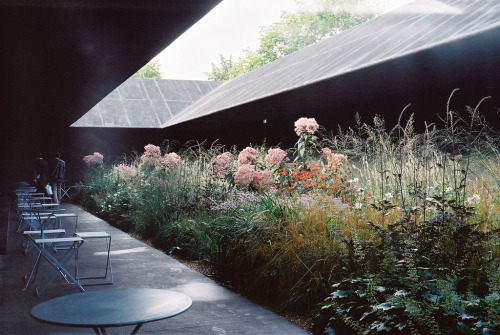 zumthor:Hortus ConclususSerpentine Pavilion, arch. Peter Zumthor, London 2011Via.