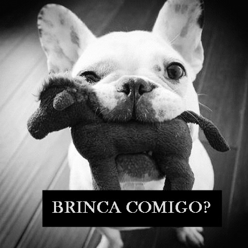 Veja bem meu bem