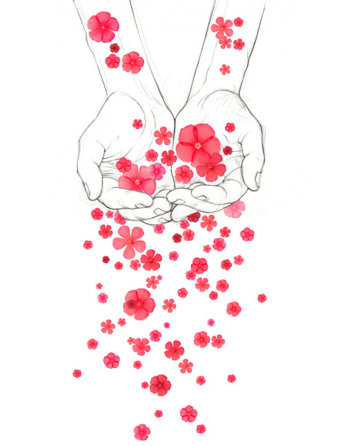 1000drawings: by Stasia burrington