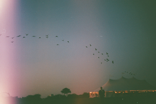 oh-hello-autumn:  the farm 