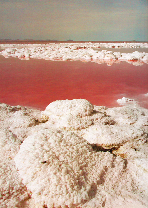 aqqindex:Robert Smithson, Spiral Jetty Detail, 1970