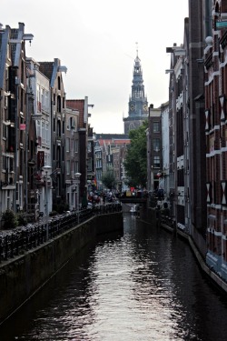 stonershy:  Amsterdam 