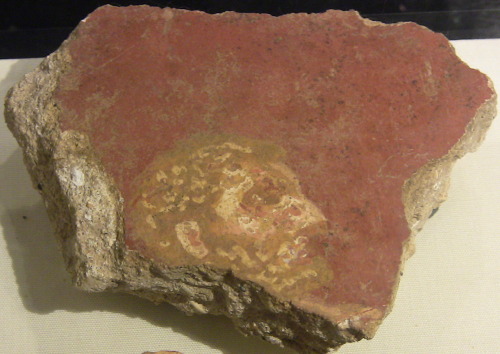 gunhilde: fragments of painted wall plaster, RomanMuseum of London
