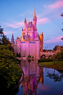 A Disney Fairy Tale