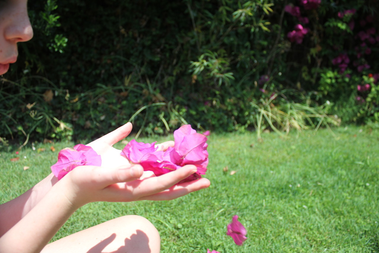 juliarobrien:  Flowers ~ Garden Shoot 