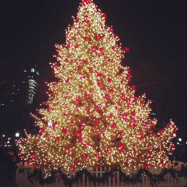 It&rsquo;s Christmas time baby