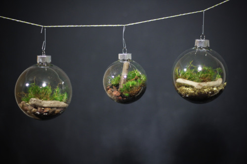 Terrarium Christmas Ornaments