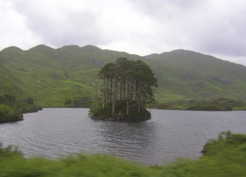 IslandA remarkably well-organized island looms in the rainy gloom.  Loch Eilt, Scotland.  