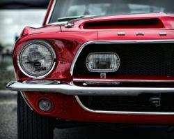 manchannel:  Shelby Mustang by Gordon Dean