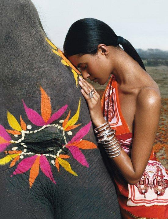 harvestheart:  Girl with Elephant in India 