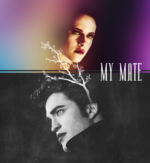 rbertpattinsn:  Twilight Fanfiction Rec: My Mate by PrincessRachael. Two reluctant vampires find themselves mated, each requiring the other’s blood to survive. She will fight it. He will fight for her. In the end, their blood will save them both. Rated