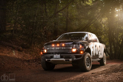 automotivated:  Fox Shox Ford Raptor (by davidbushphoto.com)