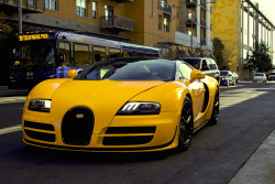 artoftheautomobile:  Bugatti Veyron Grand Sport Vitesse Yeah, uh huh, you know what it is… (Credit: Merfin) 