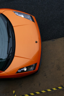 automotivated:  (by Bandal)