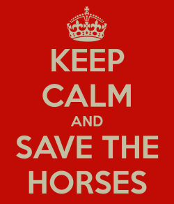 kidsfromhomura:  Save the horses. IN commemoration