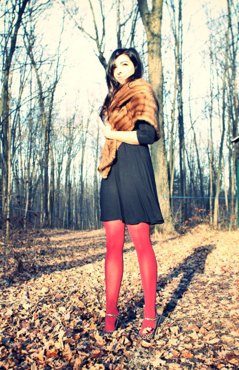 pantyhoseparty: Bright red pantyhose, black dress and leopard print shoes