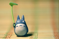 chu totoro By Wesley Chan