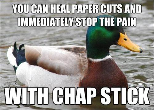 allistormiguelrichards:  mcithemicrophone:    pleatedjeans:  Best of the Actual Advice Mallard Meme (23 Pics)    I didnt know the chapstick and bread one. Neat.  I like this meme 