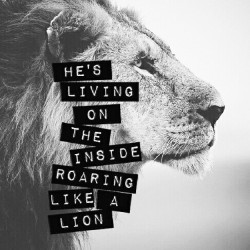 spiritualinspiration:  Proverbs 28:1 tells us that “the righteous are as bold as a lion.” The only way you’re going to have the boldness God wants you to have is to know that you are righteous. When you know who you are in Christ, when you know