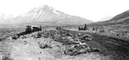 kokutai: A parting word?  The melting snow  is odorless.  -Bokusui Japanese personnel killed during 