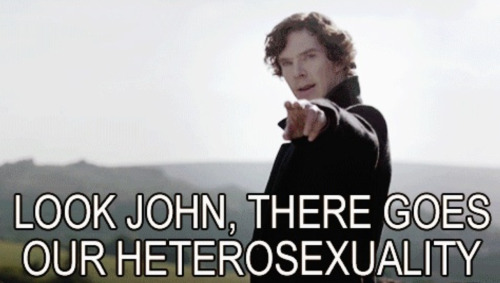 loren-lorismith:I’m sorry but I just can’t help but laugh at this! :DThey’re taking our hetero