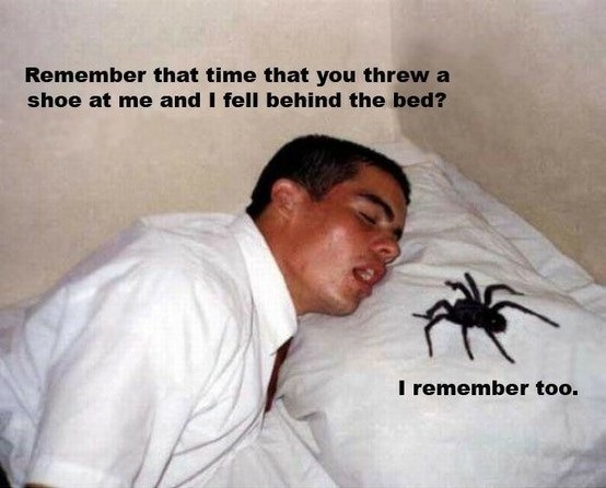 I missed on purpose &hellip; honest!!
