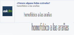 searchinganswersinthesky:  fantasmas-equivocad0s:  hola, esto me dio demasiada risa LKSSLAJHSFJKLAÑDLFD. Pobres arañas gays. u__ú   adhklasladhsd, mori xDDD 