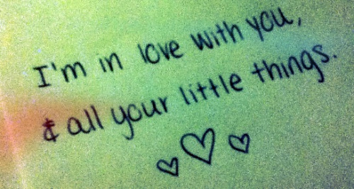 just-keep-wishing:  little things<3  