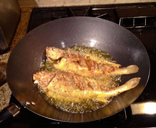 Tonight&rsquo;s home-cooking: yellow corvina, also sometimes called yellow croaker, is a popular