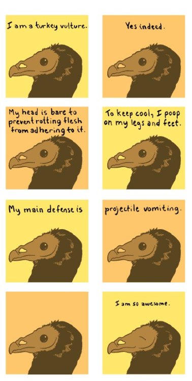thefrogman:Bird and Moon by Rosemary Mosco [website]