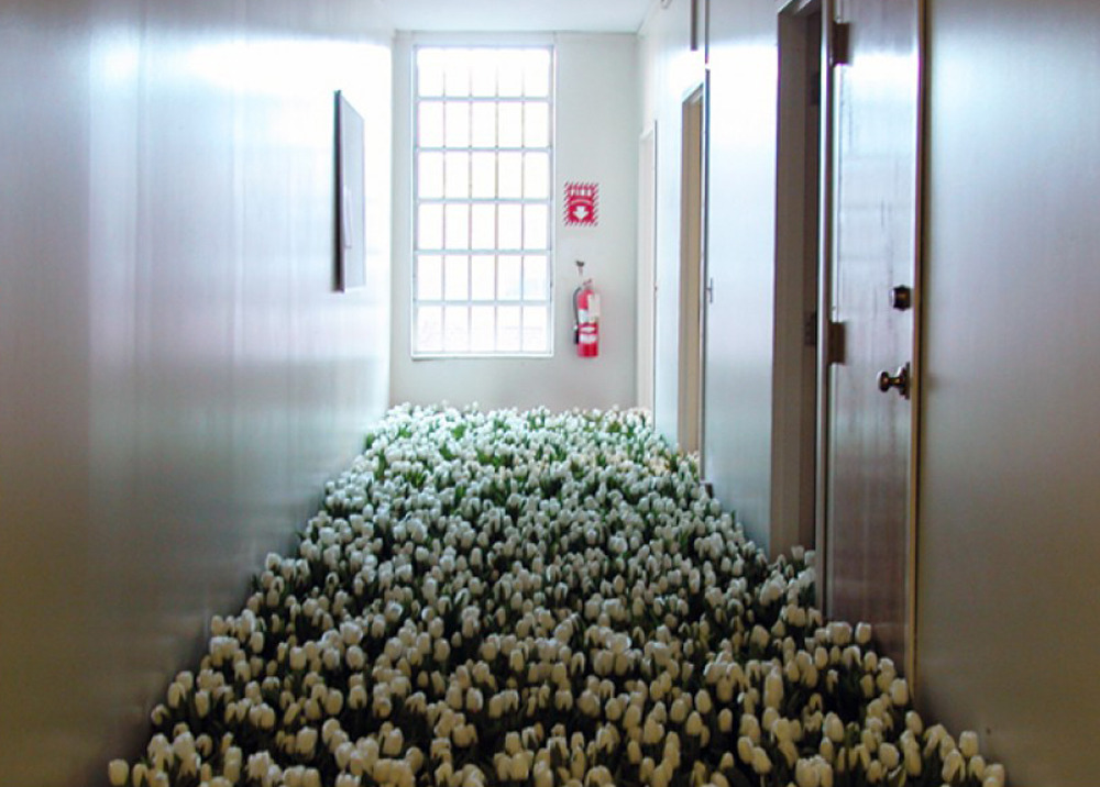 likeafieldmouse:  Anna Schuleit - Bloom (2003) 28,000 potted flowers installed at