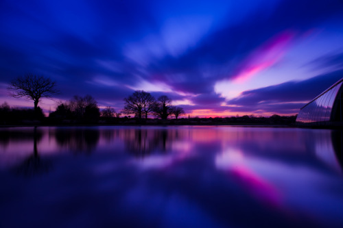 llbwwb:  Wing Tips (Butterfly Sunset), Wisley (by flatworldsedge)