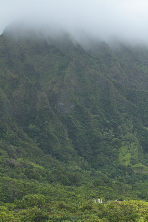 timidsouls:  Windward Oahu, Hawaii (by banzainetsurfer)  want more posts like this? check out my blo