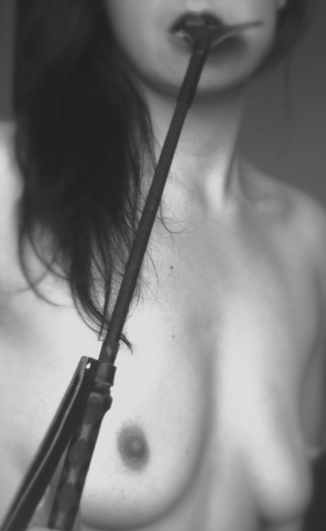 eroticvariety:  guess my pet wants to be rode 